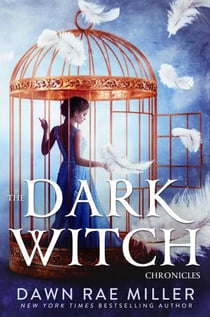 The Dark Witch Chronicles Boxset - The Dark Witch Chronicles
