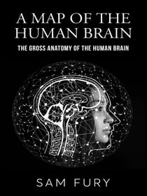 A Map of the Human Brain