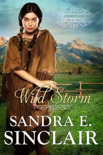 Wild Storm - The Unbridled  Series, #2