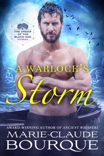 A Warlock's Storm - The Order of the Black Oak - Stories, #1
