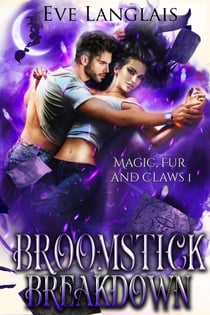 Broomstick Breakdown - Magic, Fur and Claws, #1