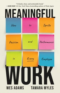 Meaningful Work - How to Ignite Passion and Performance in Every Employee