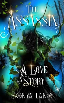 The Assassin: A Love Story