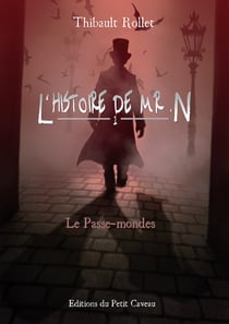 Le Passe-mondes - L'histoire de Mr. N, T1