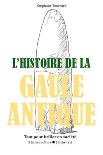 L'Histoire de la Gaule antique - Tout pour briller en société