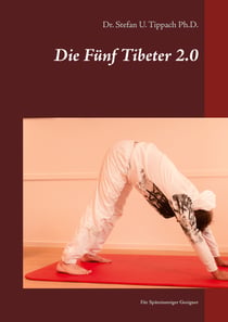 Die Fünf Tibeter 2.0 - Für Späteinsteiger Geeignet