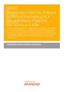 Propiedad forestal pública y utilización energética de la biomasa forestal en Castilla y León