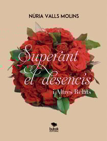 Superant el desencís i altres relats