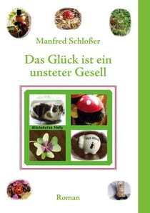 Das Glück ist ein unsteter Gesell - Roman