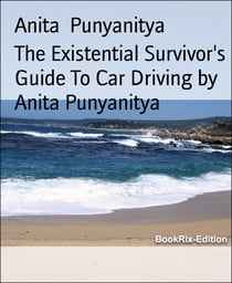 The Existential Survivor's Guide To Car Driving by Anita Punyanitya - Drive and love it - Look after your car, and be in a good mind state.