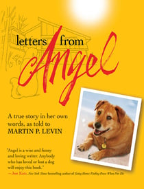 Letters from Angel - A True Story In her Own Words