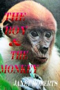 The Boy & The Monkey
