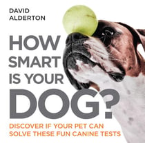 How Smart Is Your Dog? - Discover If Your Pet Can Solve These Fun Canine Tests