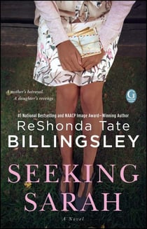 Seeking Sarah - A Novel