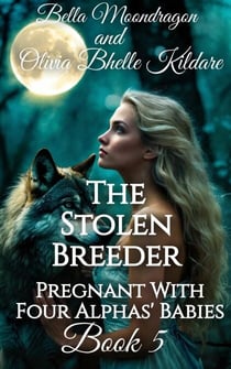The Stolen Breeder - Pregnant With Four Alphas' Babies, #5