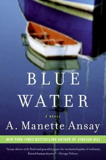 Blue Water - A Novel