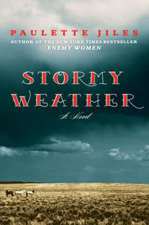 Stormy Weather - A Novel