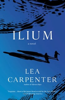 Ilium - A novel