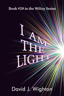 I Am the Light - Wilizy, #29