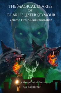 The Magical Diaries of Charles Lester Seymour: A Dark Incarnation - The Magical Diaries Trilogy, #2