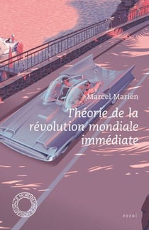 Théorie de la révolution mondiale immédiate
