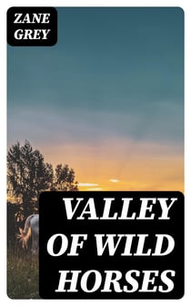 Valley Of Wild Horses