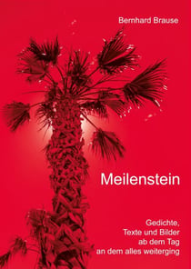 Meilenstein - Gedichte, Texte und Bilder ab dem Tag an dem alles weiterging