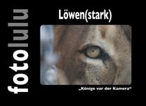 Löwen(stark) - "Könige vor der Kamera"