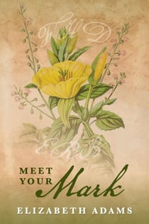 Meet Your Mark - A Collection of Unusual Tales, #2