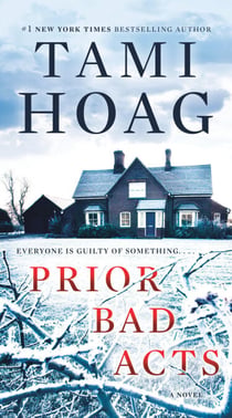 Prior Bad Acts - A Novel