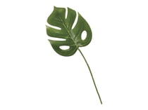 3 feuilles Monstera
