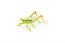 Figurine Sauterelle - Papo