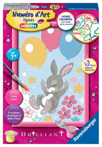 Numéro d'art - Lapin ballons