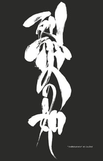 Bleach - T57 - Chapitre 508 - EMBRASEMENT DE COLERE