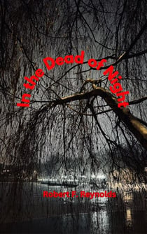 In the Dead of Night - Vietnam War Era