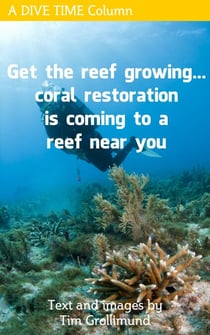 Get The Reef Growing... Coral Restoration Is Coming To A Reef Near You