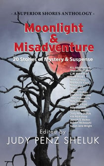 Moonlight & Misadventure: 20 Stories of Mystery & Suspense - A Superior Shores Anthology, #3