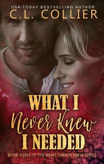 What I Never Knew I Needed - What I Never Knew, #3