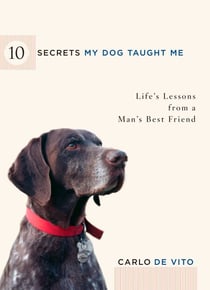 10 Secrets My Dog Taught Me - Life Lessons from a Man's Best Friend