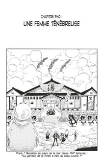 One Piece édition originale - Chapitre 340 - Une femme ténébreuse