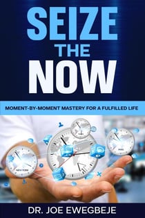 Sieze The Now: Moment By Moment Mastery for a Fulfilled Life