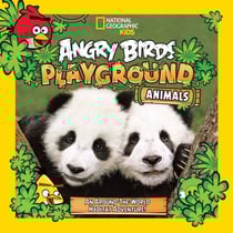 Angry Birds Playground: Animals - An Around-the-World Habitat Adventure