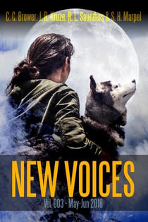 New Voices Vol 003 - Short Story Fiction Anthology