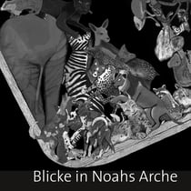 Blicke in Noahs Arche