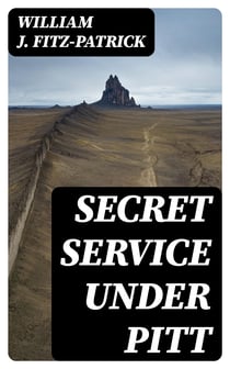 Secret Service Under Pitt