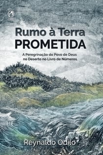 Rumo a Terra Prometida - A Peregrinação do Povo de Deus no Deserto no Livro de Números