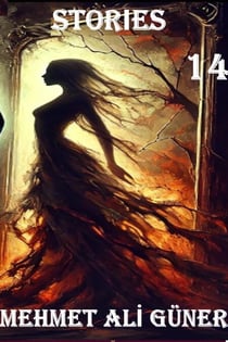 Stories 14