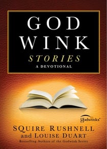 Godwink Stories - A Devotional