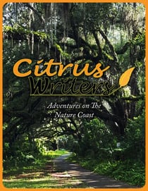 Adventures on The Nature Coast