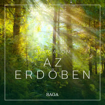 Nyugalom - Az erdoben